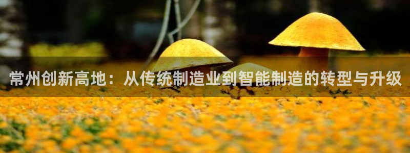 天辰娱乐游客