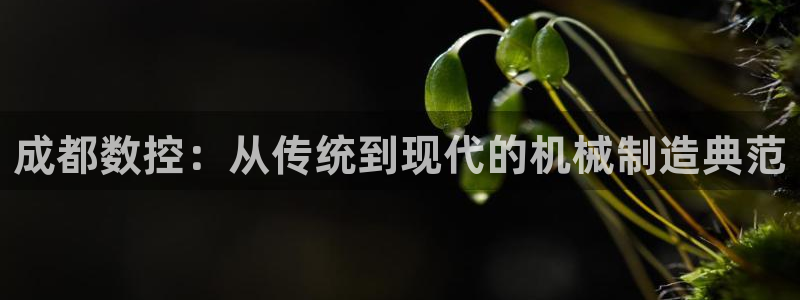 天辰 娱乐
