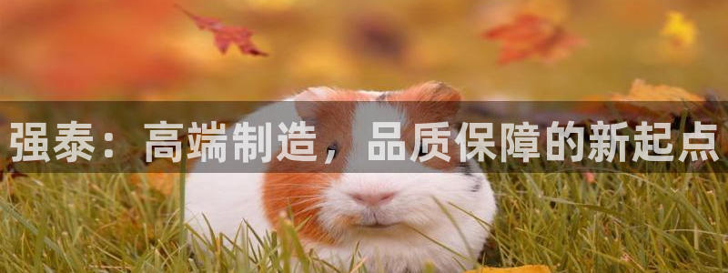 天辰注册娱乐
