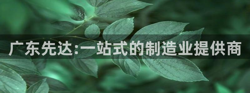 天辰娱乐557448