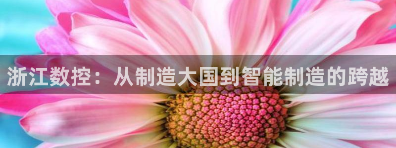 辰天娱乐
