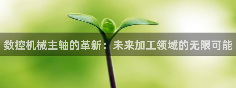 天辰娱乐集团