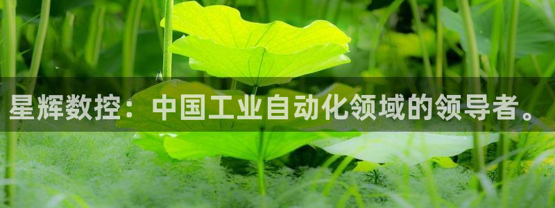 天辰团队贝高娱乐