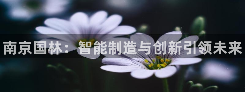 天辰娱乐小妹