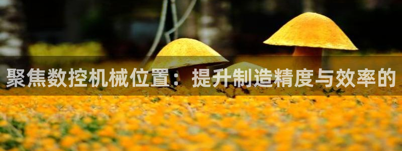 天辰娱乐解封