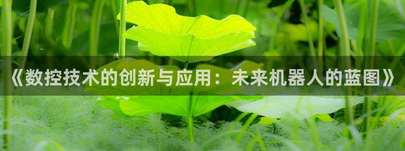 天辰娱乐招商:《数控技术的创新与应用:未来机器人的蓝图》