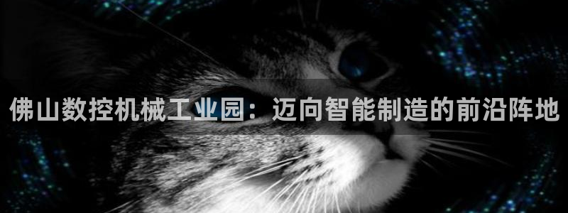 天辰娱乐股票