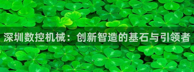 天辰娱乐跑的快