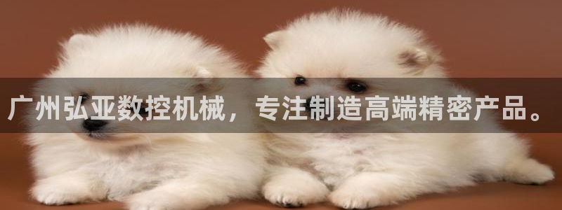 天辰娱乐分红