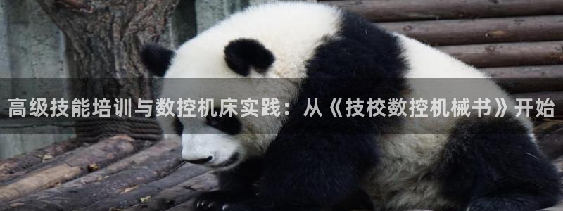 天辰娱乐老板