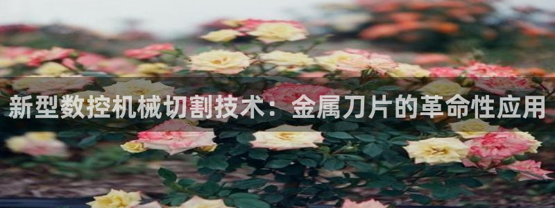 天辰娱乐娱乐平台