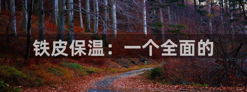 天辰娱乐平台登录账号