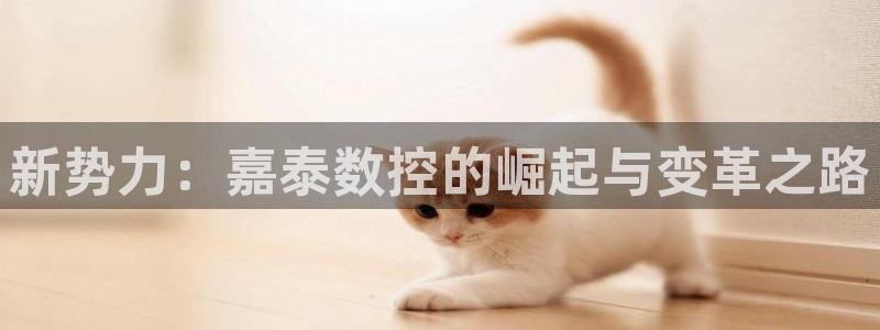 天辰娱乐平台app下载