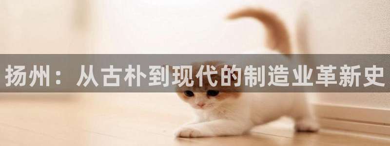 天辰娱乐平台：扬州：从古朴到现代的制造业革新史
