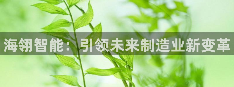 天辰娱乐：海翎智能：引领未来制造业新变革
