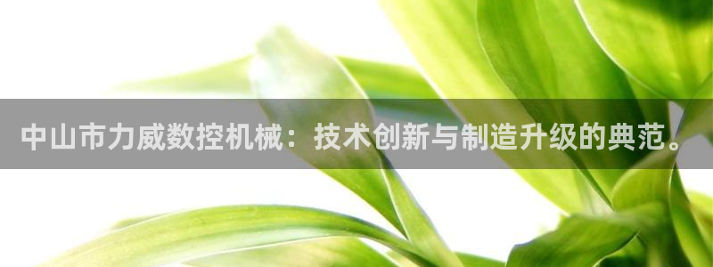 天辰娱乐测试：中山市力威数控机械：技术创新与制造升级的典范。
