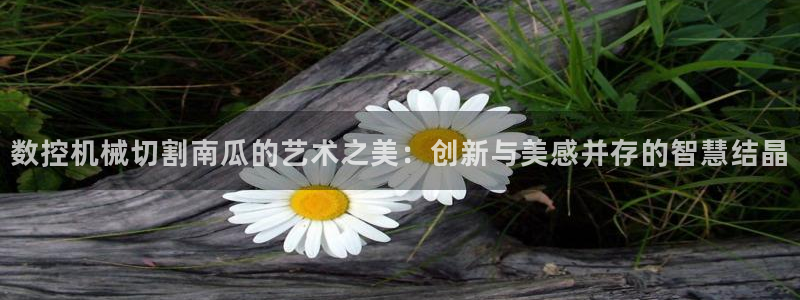 天辰娱乐2