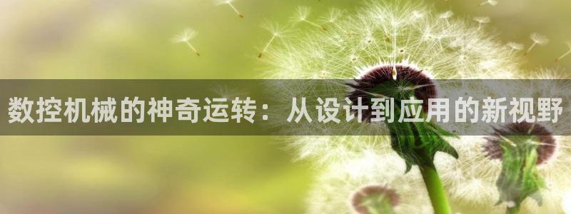天辰娱乐61116