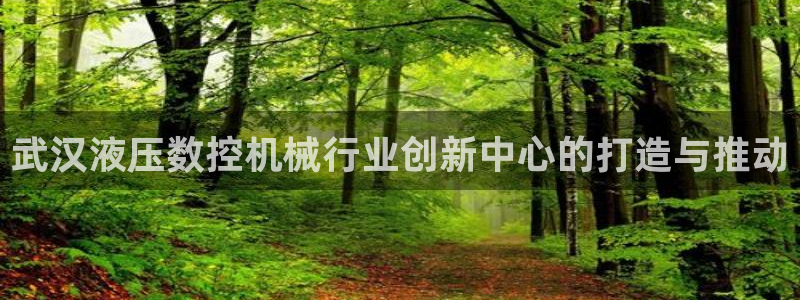 天辰娱乐输了