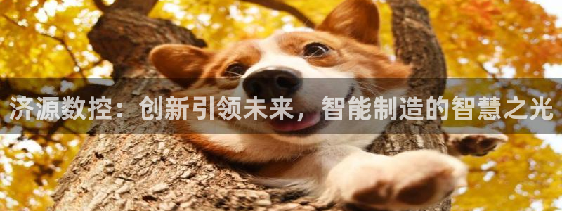 天辰娱乐平台app下载：济源数控：创新引领未来，智能制造的智慧之光