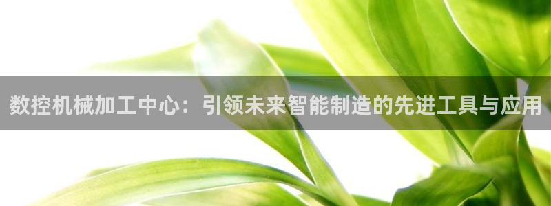 天辰臣娱乐