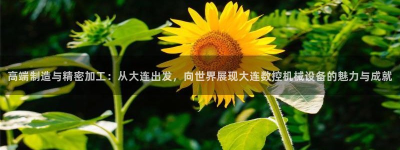 天辰娱乐会员