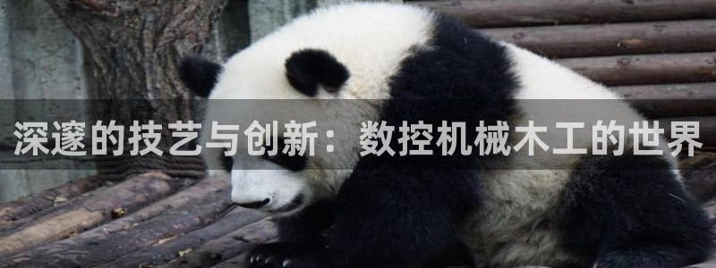 天辰娱乐平台注册