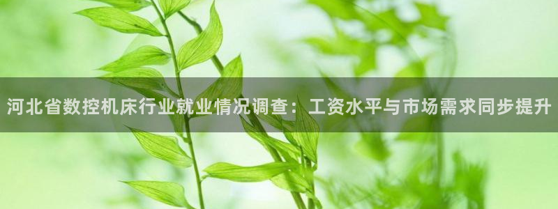 深圳天辰娱乐