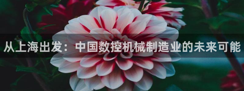 手机上怎么下载天辰娱乐