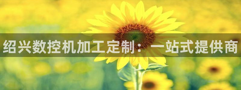 天辰娱乐平台地址