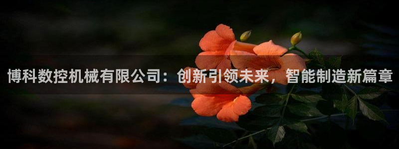 天辰娱乐公司：博科数控机械有限公司：创新引领未来，智能制造新篇章
