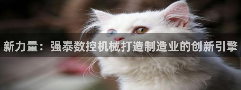天辰娱乐885544：新力量：强泰数控机械打造制造业的创新引擎