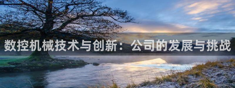 辰天娱乐用品：数控机械技术与创新：公司的发展与挑战
