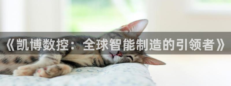 天辰娱乐481928