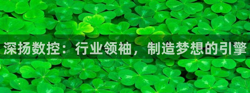 天辰臣娱乐