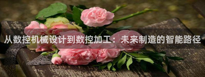 天辰娱乐游客