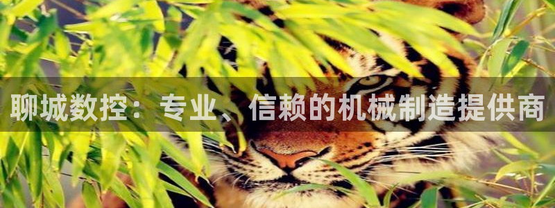 天辰娱乐白屏
