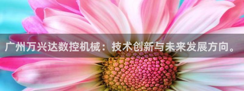 天辰娱乐文案