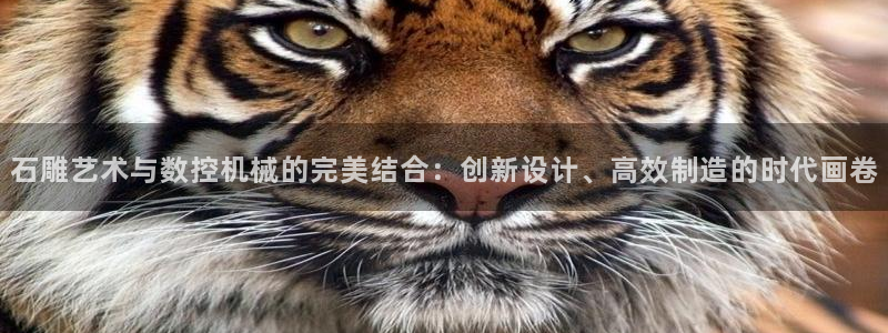 天辰娱乐APP下载