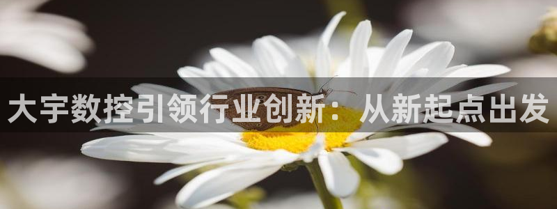 天辰娱乐元宝