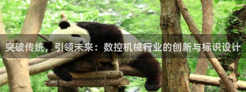 天辰团队贝高娱乐