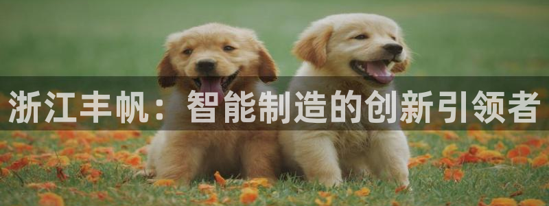 天辰娱乐怎么样