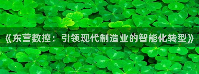 南充天辰娱乐
