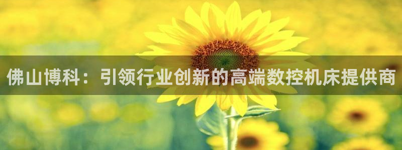 天辰娱乐小妹