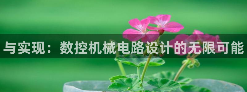 天辰娱乐平台地址