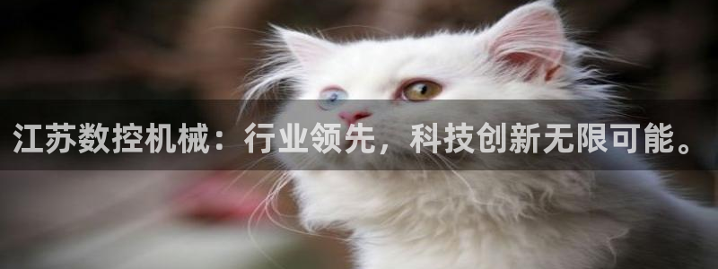 天辰娱乐1956:江苏数控机械:行业领先,科技创新无限可能。