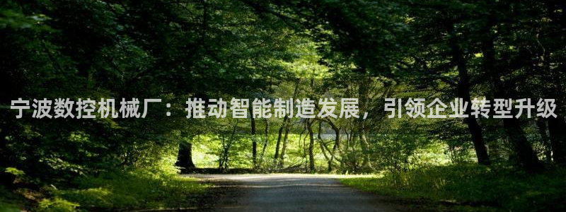 天辰娱乐待遇:宁波数控机械厂:推动智能制造发展,引领企业转型升级