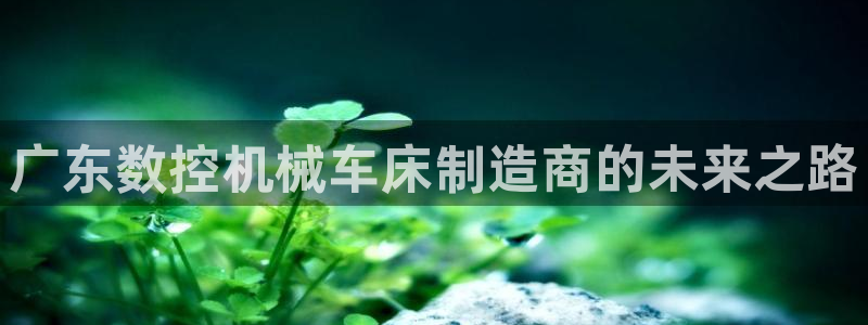 天辰娱乐分红