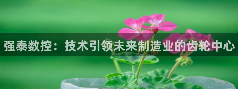 天辰娱乐网址娱乐游戏:强泰数控:技术引领未来制造业的齿轮中心