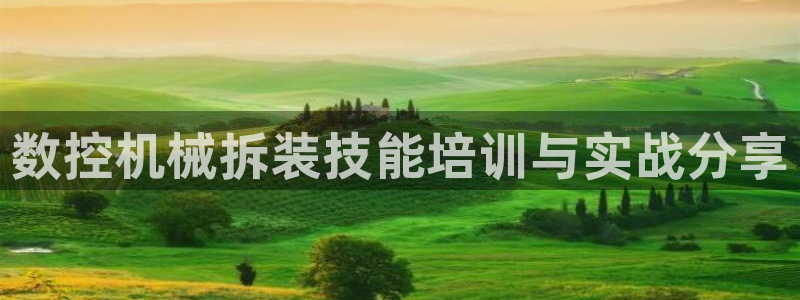 天辰娱乐解封
